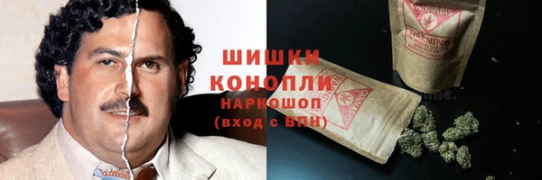 дмт Осинники