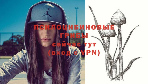 бутират Осташков