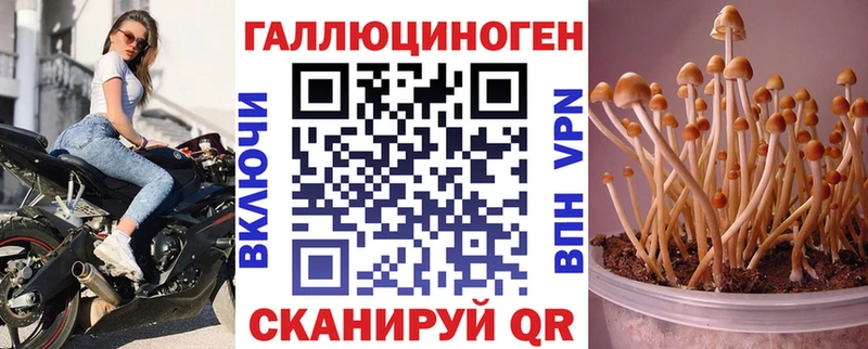 это телеграм Лермонтов Псилоцибиновые грибы мицелий
