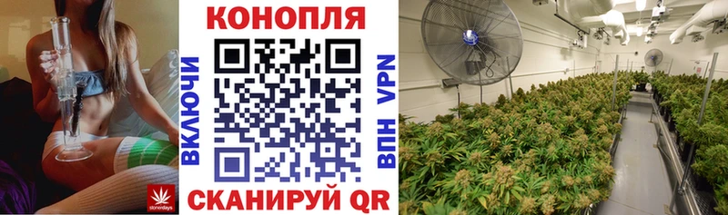 Каннабис OG Kush  Лермонтов 